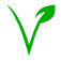 everlast landscape favicon img