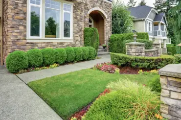A garden landscaping
