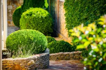 landscape-design-Stone-walkway-bushes-landscape-path