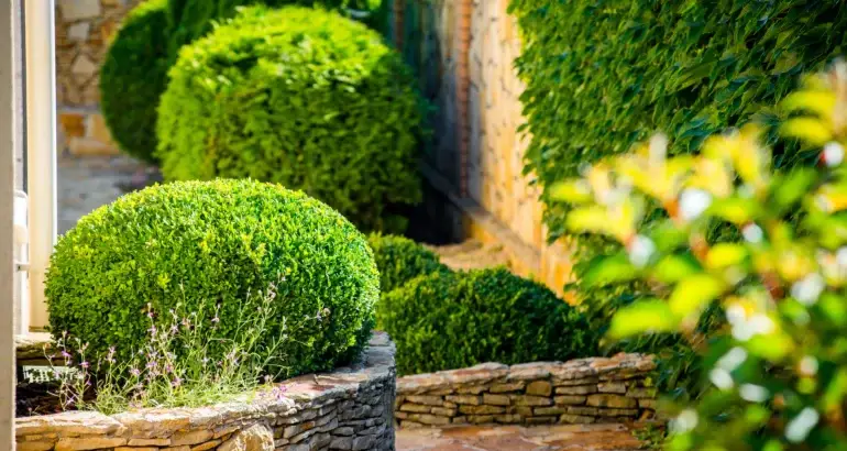Mastering Landscape Design For Your Garden