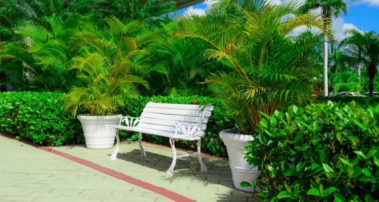 Revitalize Your Outdoor Area With Local Landscaping Experts