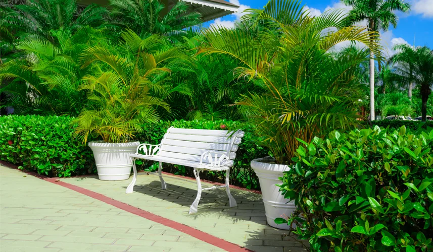 outdoor area, local landscaping