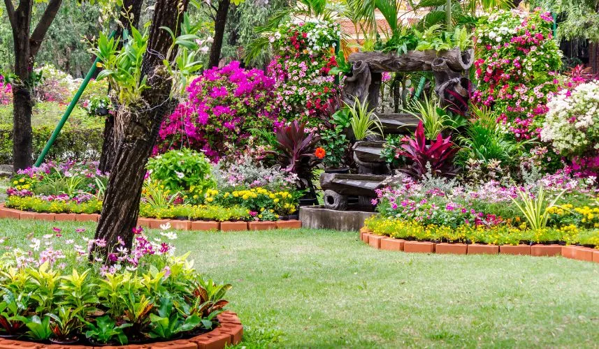 Cozy home flower garden and flower pot decoration on summer.