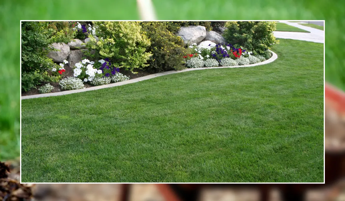 Professionally maintained green lawn with colorful flower bed showcasing expert lawn care for a beautiful landscape.