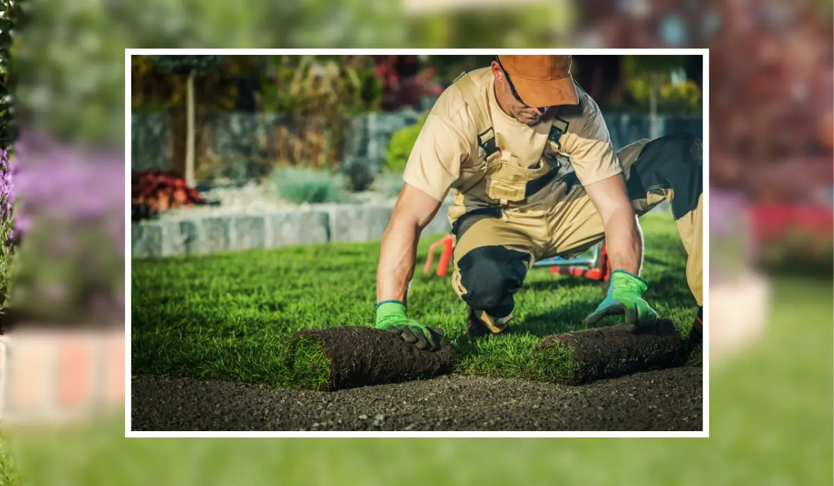 Professional landscaper installing fresh sod for a healthy lawn in Bolingbrook, showcasing expert eco-friendly landscaping techniques.