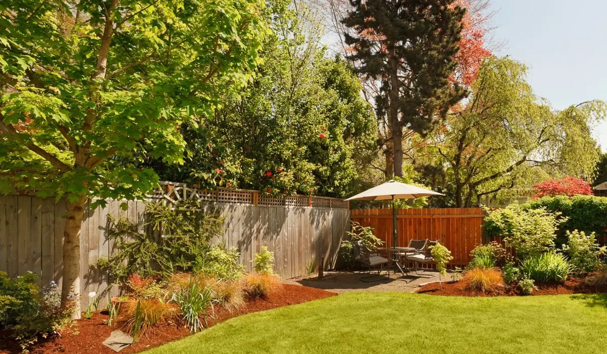 Backyard with healthy lawn and vibrant plants shows effective landscape grading for proper drainage and soil control.