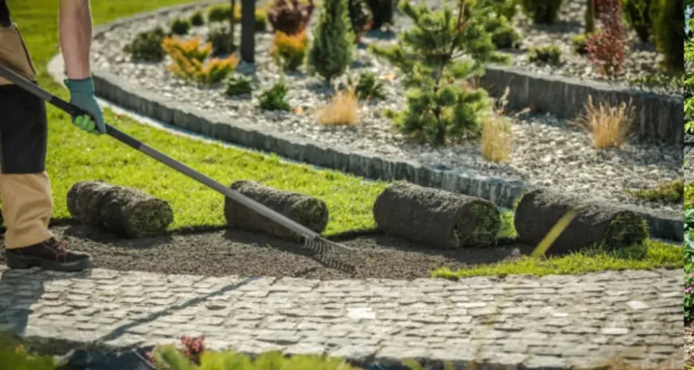 Why Professional Landscaping Is the Best Investment for Your Home