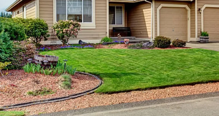 Drainage Problems in Your Yard: Landscaping Solutions That Actually Work