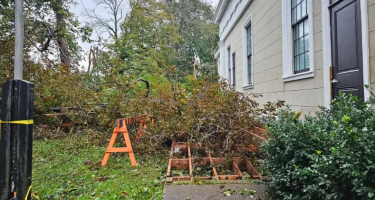 What to Do After a Storm: Emergency Tree and Landscape Cleanup Tips