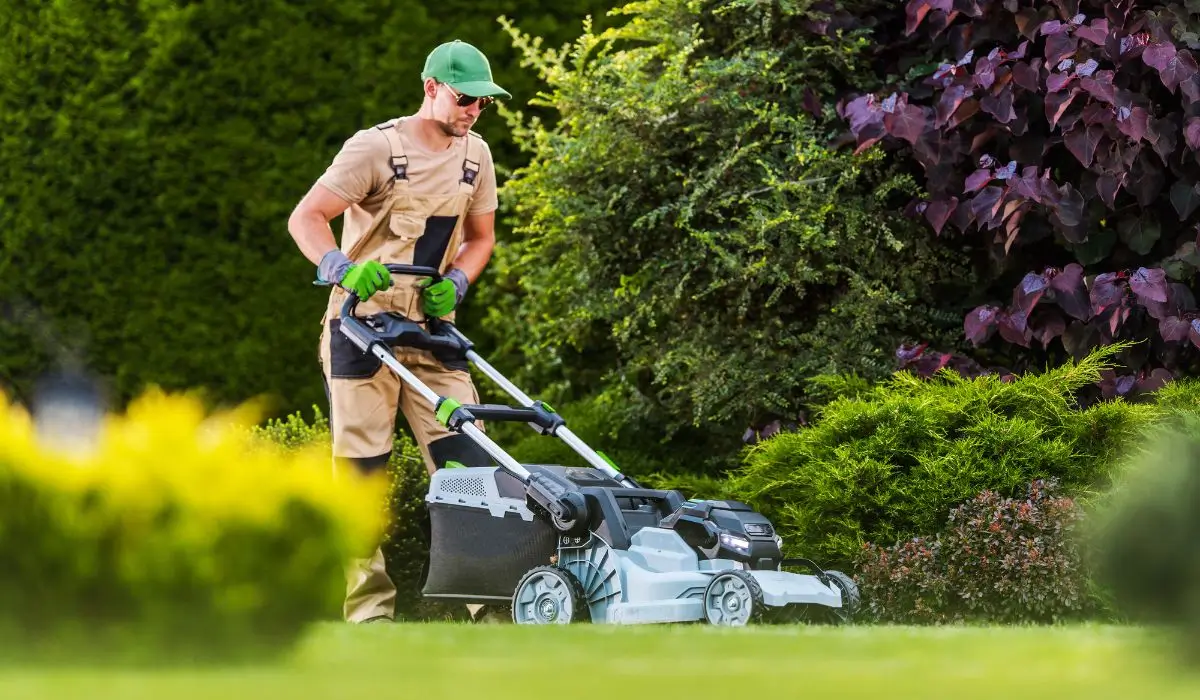 A professional landscaper mowing a lush green lawn, demonstrating essential seasonal lawn care for a healthy yard year-round.