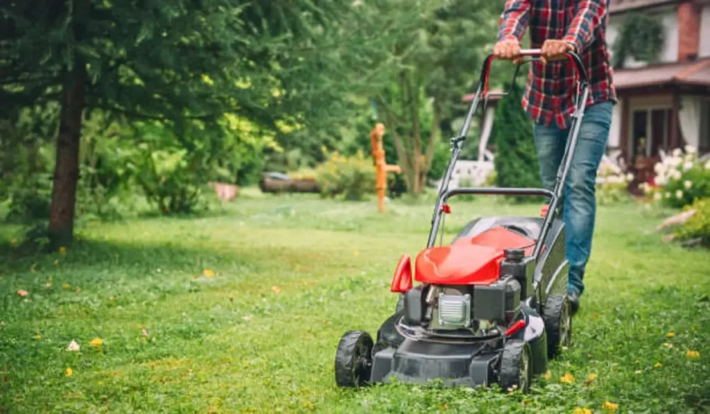 A person mowing a lush green lawn with a red lawnmower, performing seasonal lawn care near a house with trees and plants.