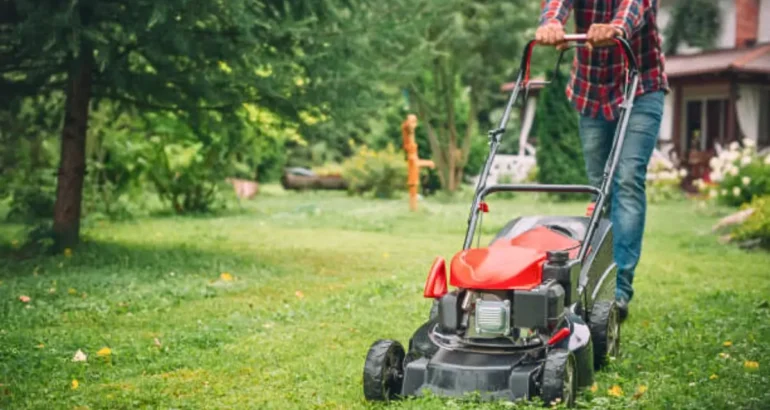 The Ultimate Seasonal Lawn Care Guide: What Your Yard Needs Year-Round