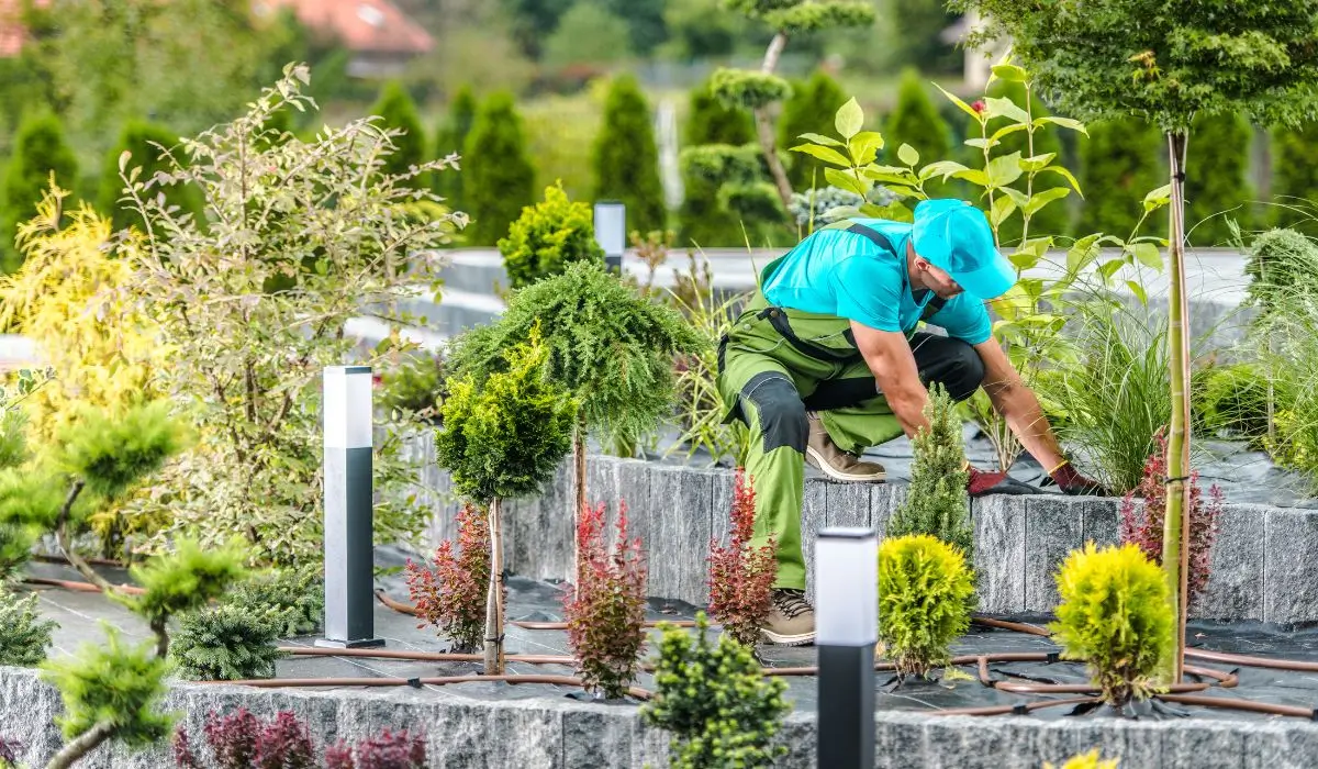 A landscaper kneels while planting in a tiered garden, applying smart landscaping strategies to deter mosquitoes and pests.