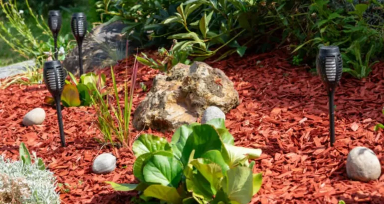 How to Keep Mosquitoes and Pests Away with Smart Landscaping